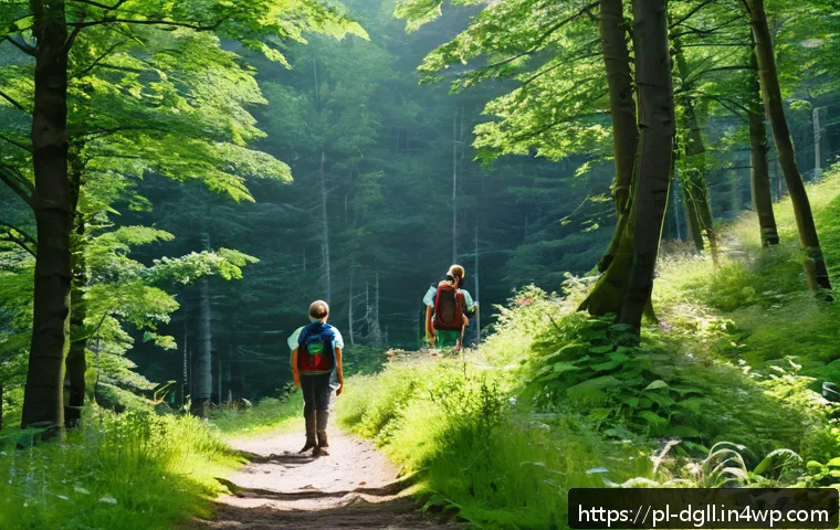 디지털 디톡스 캠프 여름 휴가로서의 가능성 - A serene outdoor scene depicting a family hiking in the Polish Bieszczady Mountains during summer. T...